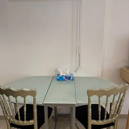 Luxe 15 Minutes From Paris, Cdg, Stade De France Apartment Montmagny